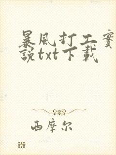 暴风打工实录小说txt下载
