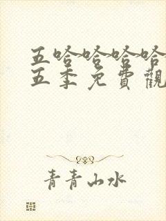 五哈哈哈哈哈第五季免费观看