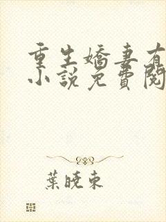 重生娇妻有点甜小说免费阅读封面