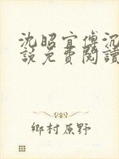 沈昭宜傅沉砚小说免费阅读