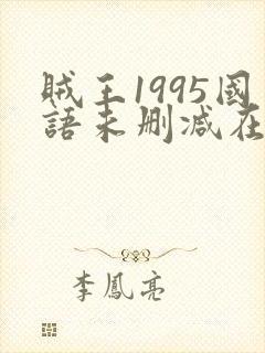 贼王1995国语未删减在线播放