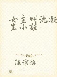 女主叫沈凝的重生小说