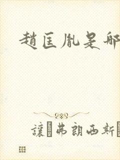 赵匡胤是哪国人