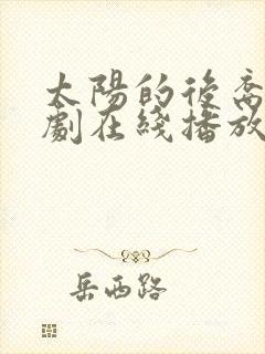 太阳的后裔电视剧在线播放