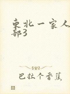 东北一家人第一部3封面