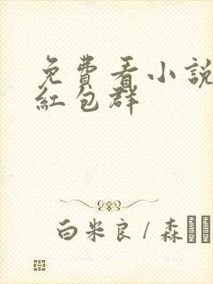 免费看小说三界红包群封面