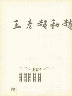 王彦超和赵匡胤