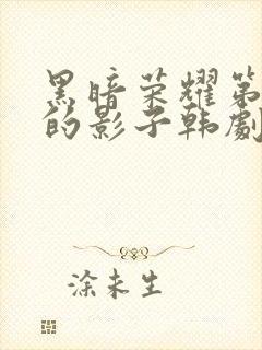 黑暗荣耀第二季的影子韩剧免费观看