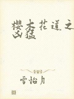 樱木花道之重生凶猛