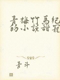 青梅竹马纪流城的小说甜宠文