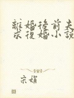 离婚后前夫哭着求复婚小说完本免费阅读