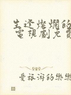 生逢灿烂的日子 电视剧免费观看