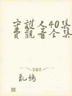 守护人40集免费观看全集