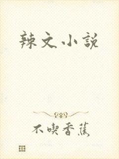 辣文小说封面
