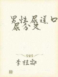 男性尿道口肿大 尿分叉