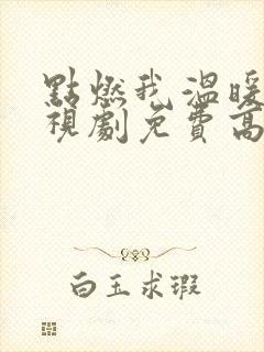 点燃我温暖你电视剧免费高清完整版