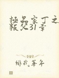 极品家丁之孽龙叛父31章