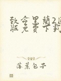 致命黑兰2国语版免费下载