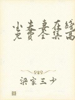 小夫妻在线观看免费全集高清完整