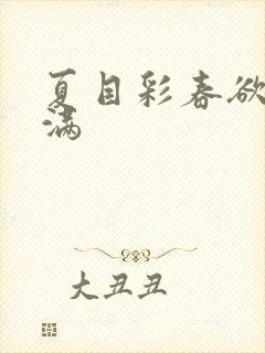 夏目彩春欲求不满封面