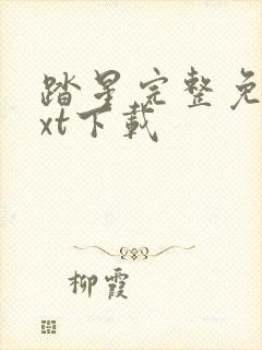 踏星完整免费txt下载封面