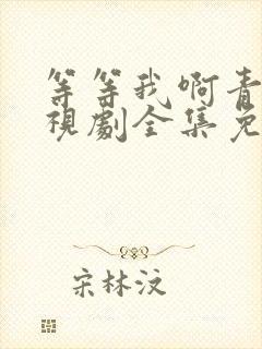 等等我啊青春电视剧全集免费观看