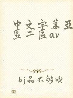 中文字幕亚洲一区二区av