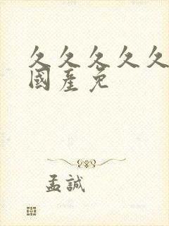 久久久久久精品国产免