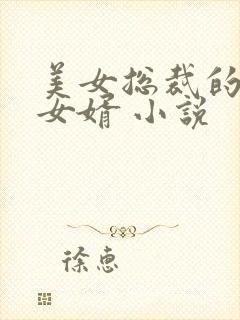 美女总裁的上门女婿 小说