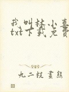 我叫林小喜小说txt下载免费