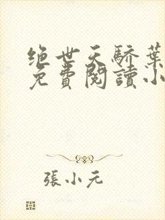 绝世天骄叶凌天免费阅读小说