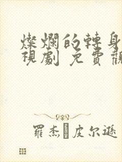 灿烂的转身 电视剧 免费观看