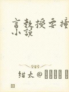 言教授要撞坏了小说