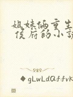 姐妹俩重生换嫁 侯府的小说