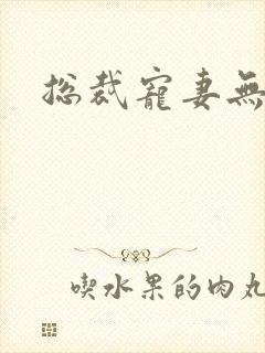 总裁宠妻无下限封面