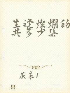 生逢灿烂的日子共多少集