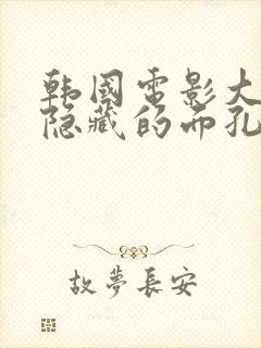 韩国电影大尺度隐藏的面孔封面