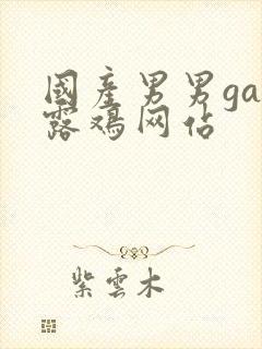 国产男男gay露鸡网站