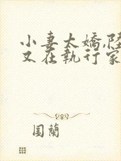 小妻太娇,陆爷又在执行家法看