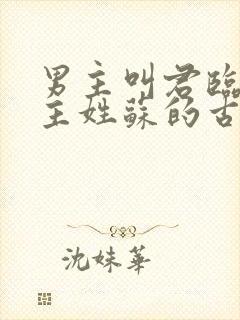 男主叫君临渊女主姓苏的古言小说