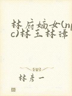 林府嫡女(npc)林玉林璋