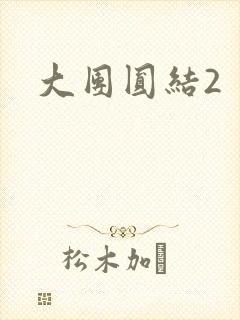 大团圆结2封面