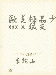 欧美极品少妇xxxxⅹ猛交