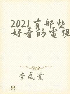 2021有哪些好看的电视剧