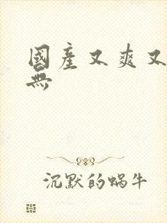 国产又爽又黄片无