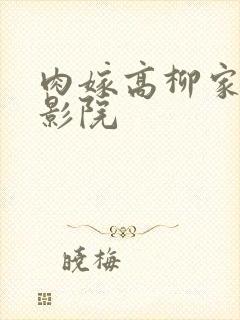 肉嫁高柳家光棍影院封面