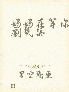 妈妈在等你电视剧几集封面