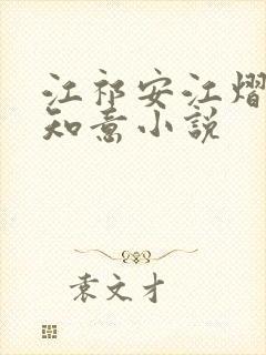 江祁安江熠泽沈知意小说