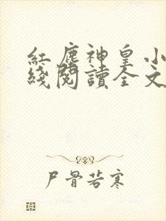 红尘神皇小说在线阅读全文最新章节