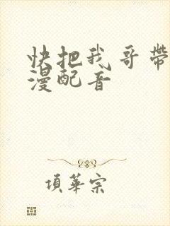 快把我哥带走动漫配音封面